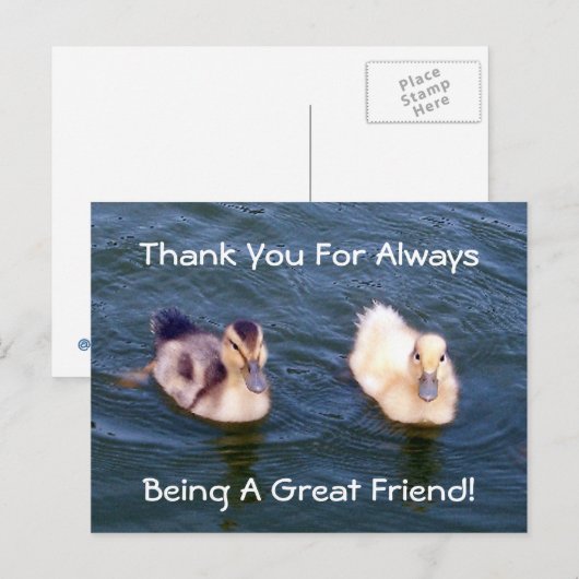 Briefkaart met kleine deklings (Voorkant / Achterkant)