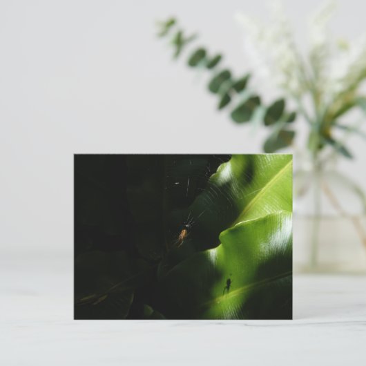 Briefkaart met kleine spindopjes (Staand voorkant)