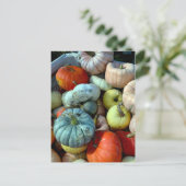 Briefkaart met kleurrijke pompoenen (Staand voorkant)