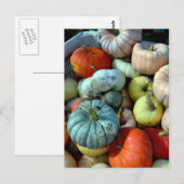 Briefkaart met kleurrijke pompoenen (Voorkant / Achterkant)
