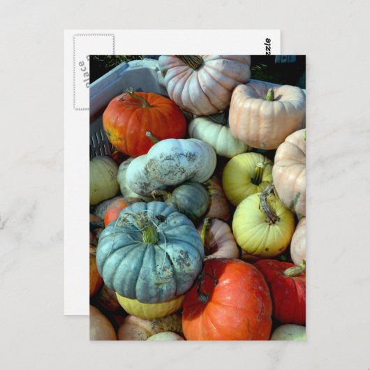 Briefkaart met kleurrijke pompoenen (Voorkant / Achterkant)