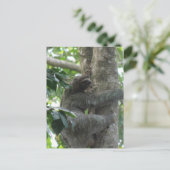 Briefkaart met klimmende gleuf (Staand voorkant)