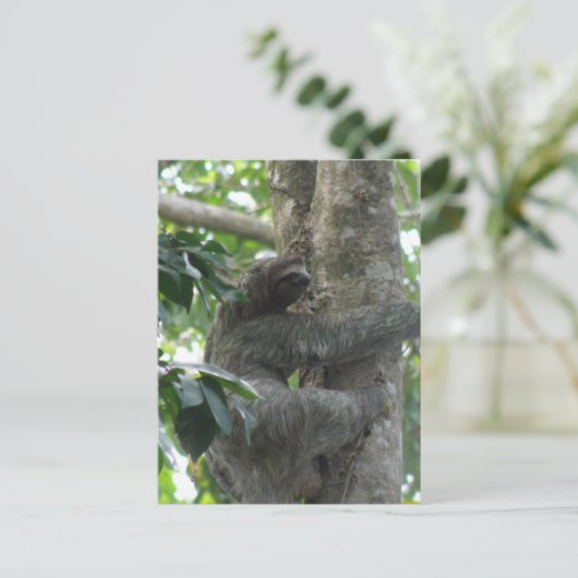 Briefkaart met klimmende gleuf (Staand voorkant)