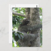 Briefkaart met klimmende gleuf (Voorkant / Achterkant)