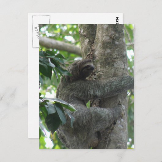 Briefkaart met klimmende gleuf (Voorkant / Achterkant)