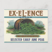 Briefkaart met  kratelafdruk met erwten (Voorkant)