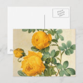  Briefkaart met kunstgele rozengeel (Voorkant / Achterkant)