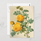 Briefkaart met kunstgele rozengeel (Voorkant / Achterkant)
