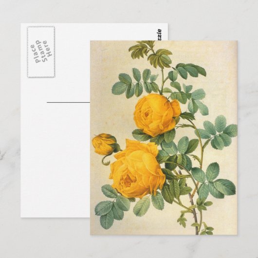 Briefkaart met kunstgele rozengeel (Voorkant / Achterkant)