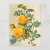 Briefkaart met kunstgele rozengeel (Voorkant)