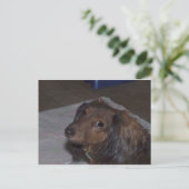 Briefkaart met lange adem (Staand voorkant)