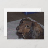 Briefkaart met lange adem (Voorkant / Achterkant)