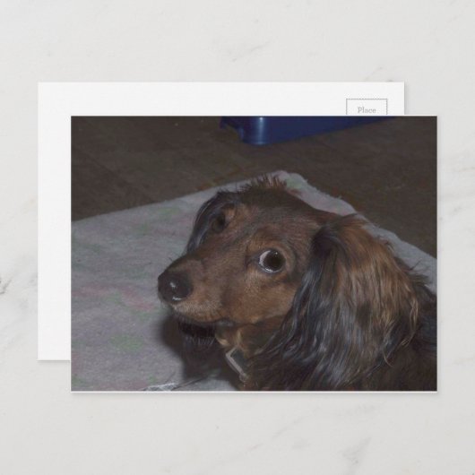 Briefkaart met lange adem (Voorkant / Achterkant)