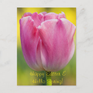 Briefkaart met lentroze tulp