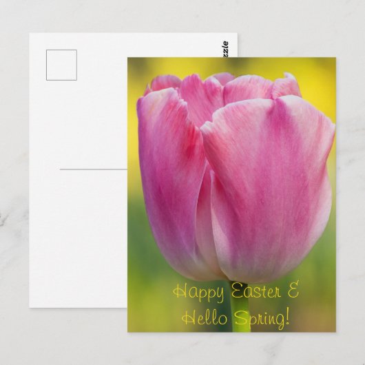 Briefkaart met lentroze tulp (Voorkant / Achterkant)