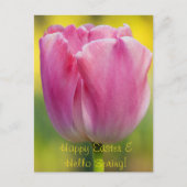 Briefkaart met lentroze tulp (Voorkant)