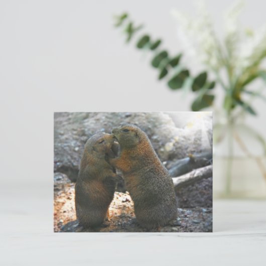 Briefkaart met leuk marmotpaar (Staand voorkant)