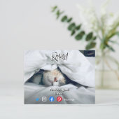 briefkaart met losse kat (Staand voorkant)