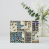 Briefkaart met lycaenidae-vlinders (Staand voorkant)