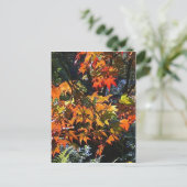 Briefkaart met mapelbladeren (Staand voorkant)