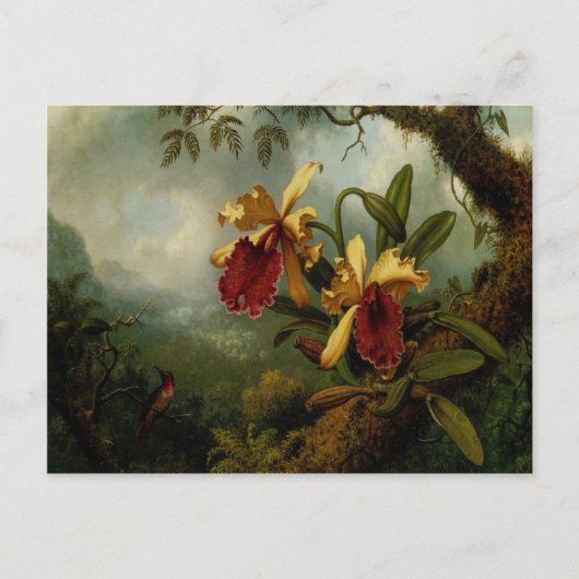 Briefkaart met Martin Johnson Heade Painting (Voorkant)