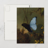 Briefkaart met Martin Johnson Heade Painting (Voorkant / Achterkant)