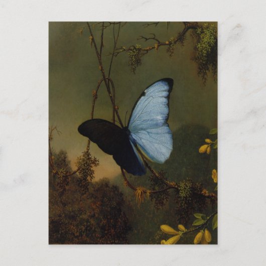 Briefkaart met Martin Johnson Heade Painting (Voorkant)