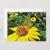 Briefkaart met mooi de zomerafbeelding (Voorkant / Achterkant)