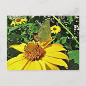 Briefkaart met mooi de zomerafbeelding (Voorkant)