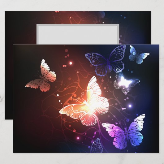 Briefkaart met nachtvlinders (Voorkant / Achterkant)