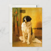 Briefkaart met oude 1852-dog afdrukken (Voorkant / Achterkant)