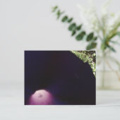 Briefkaart met paarse bloemen (Staand voorkant)