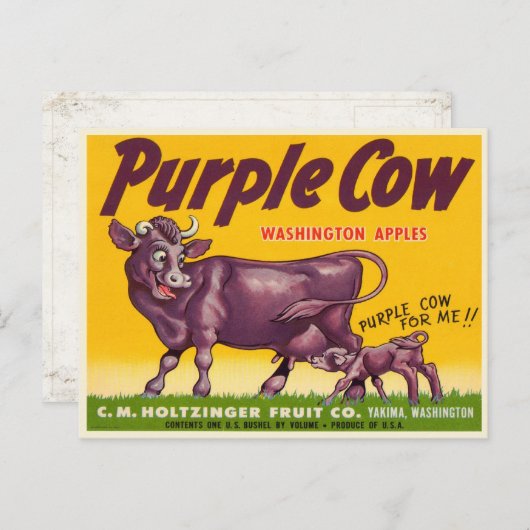 Briefkaart met  Paarse Cow Apples Print (Voorkant / Achterkant)