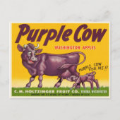 Briefkaart met  Paarse Cow Apples Print (Voorkant)