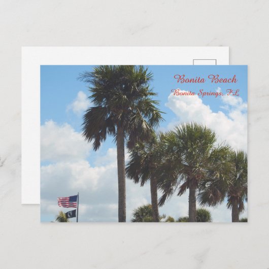 Briefkaart met palmbomen op het strand (Voorkant / Achterkant)