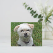 Briefkaart met pooldwarsdoorsnede glimlachen (Staand voorkant)