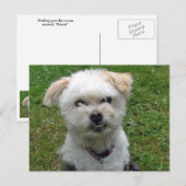 Briefkaart met pooldwarsdoorsnede glimlachen (Voorkant / Achterkant)