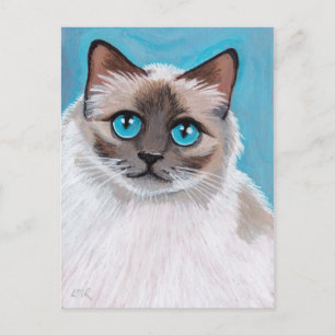 Briefkaart met portret voor blauw-ragdoll