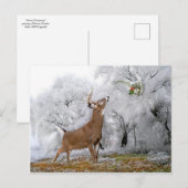 briefkaart met "pretkerst" (Voorkant / Achterkant)