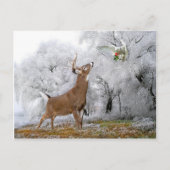 briefkaart met "pretkerst" (Voorkant)