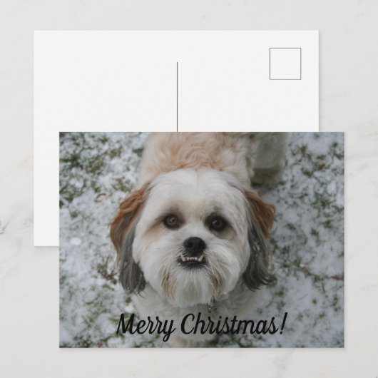  Briefkaart met prettige kerst (Voorkant / Achterkant)