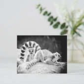 Briefkaart met ringvormige mazen (Staand voorkant)