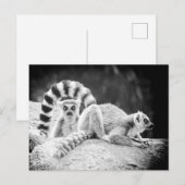 Briefkaart met ringvormige mazen (Voorkant / Achterkant)