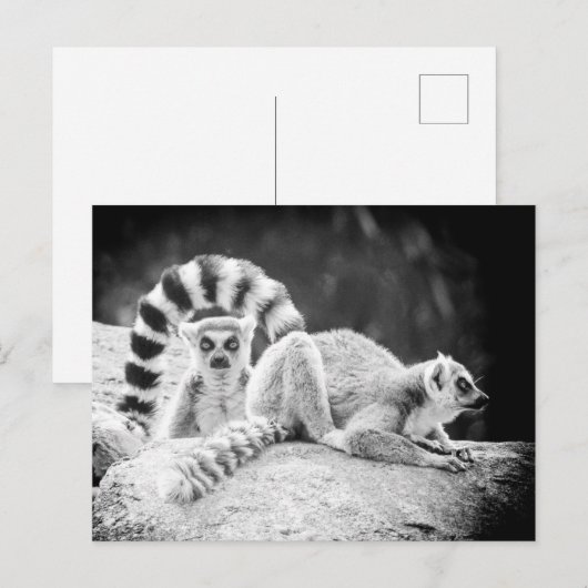 Briefkaart met ringvormige mazen (Voorkant / Achterkant)