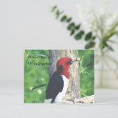 Briefkaart met rode kop, houpecker (Staand voorkant)