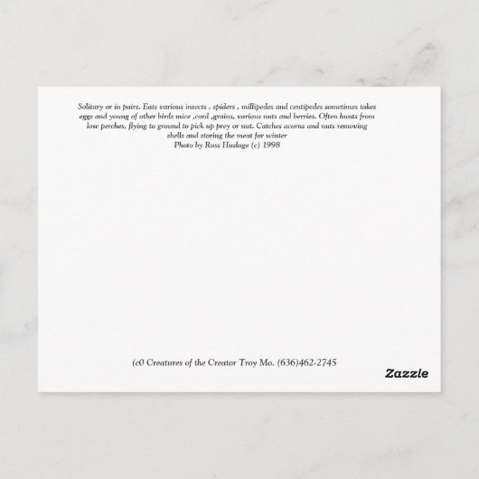 Briefkaart met rode kop, houpecker (Achterkant)