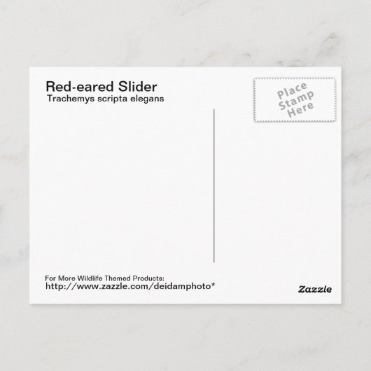 Briefkaart met rode oorschelp (Achterkant)