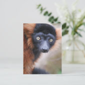 Briefkaart met rode rode rommel (Staand voorkant)