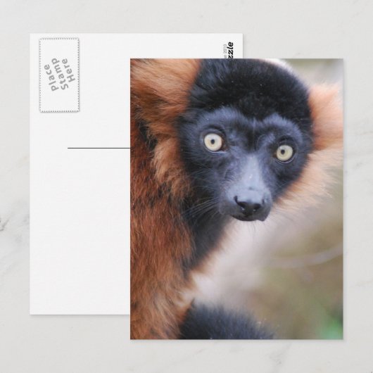 Briefkaart met rode rode rommel (Voorkant / Achterkant)