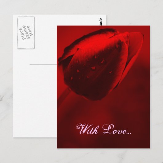 Briefkaart met rode tulpen (Voorkant / Achterkant)